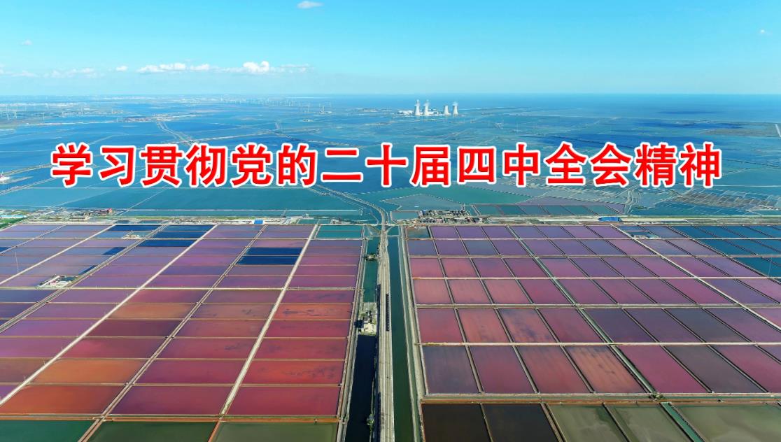 學(xué)習(xí)貫徹黨的二十屆四中全會(huì)精神 | 何為“五個(gè)進(jìn)一步到位”